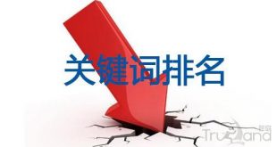 爱自由网关键词排名终于做到百度第一了